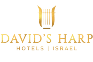 logo_dh-e1754463631556-ok